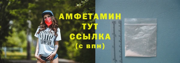 прущий лед Новозыбков