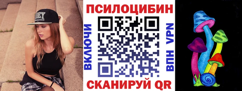 Галлюциногенные грибы Psilocybine cubensis  Мамадыш 