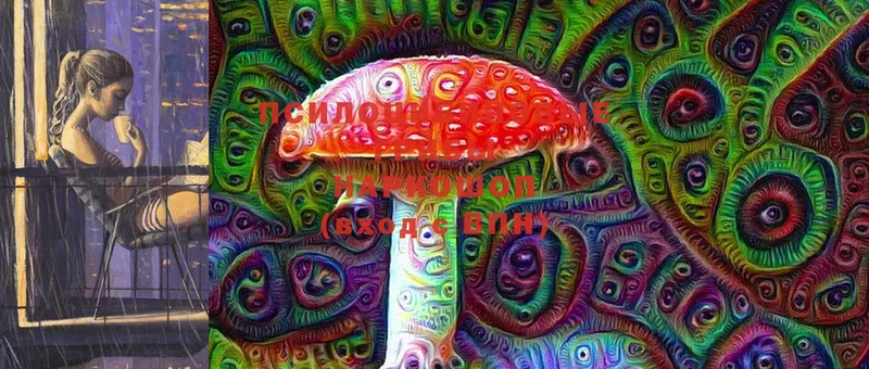 Галлюциногенные грибы Magic Shrooms  сайты даркнета наркотические препараты  Мамадыш  как найти закладки 